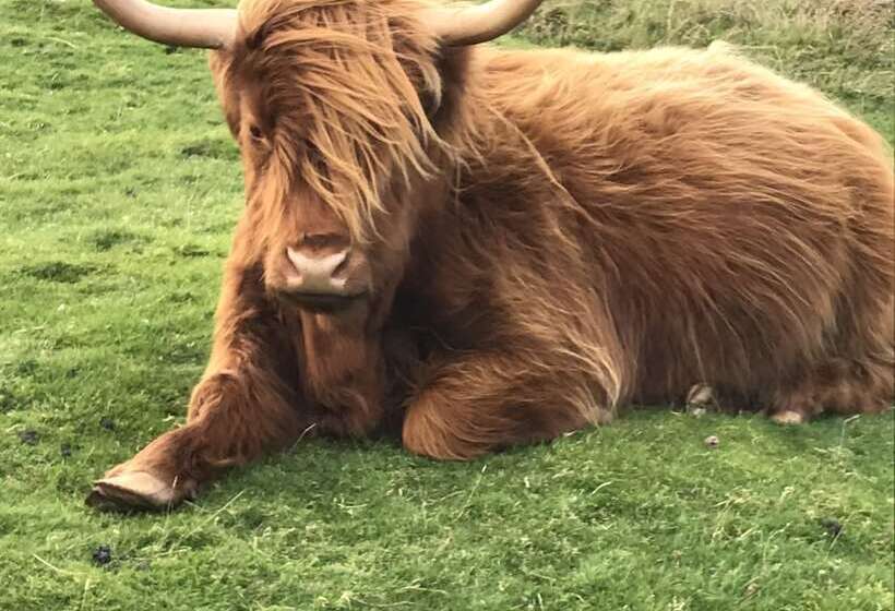 ホテル West Highland Way