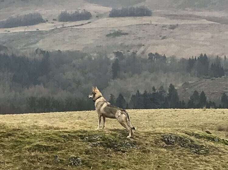 ホテル West Highland Way