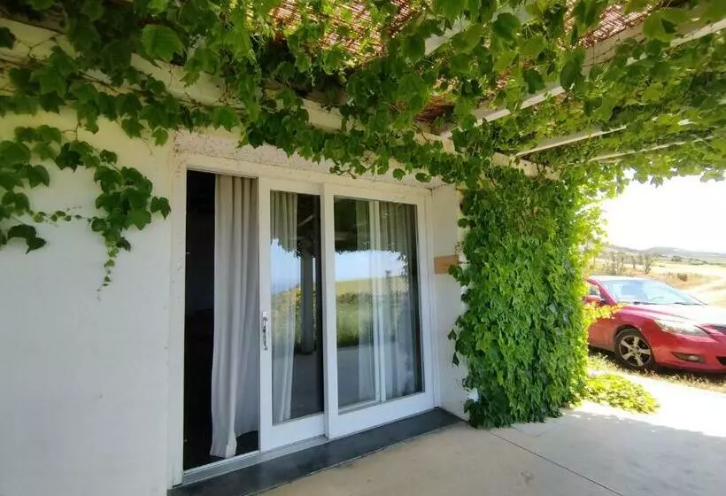 ペンション Suite Rooms In Tenuta Asinara Vineyard