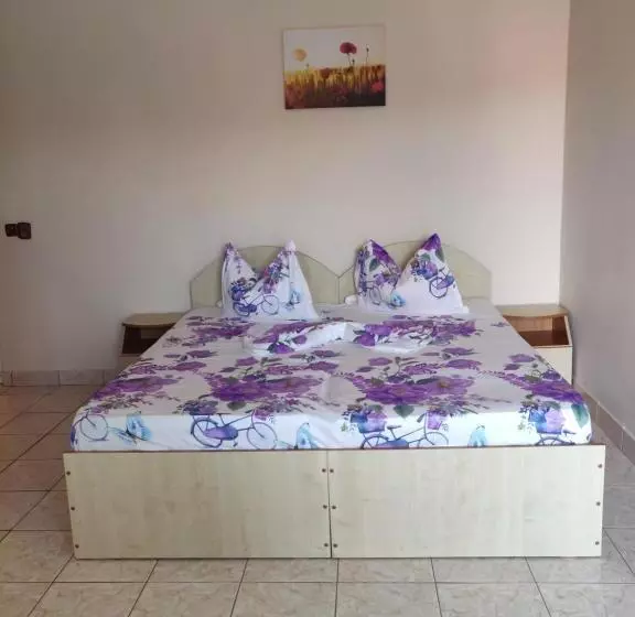 Majatalo Vila Razvan Costinesti