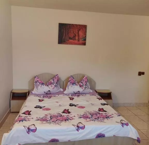 Majatalo Vila Razvan Costinesti