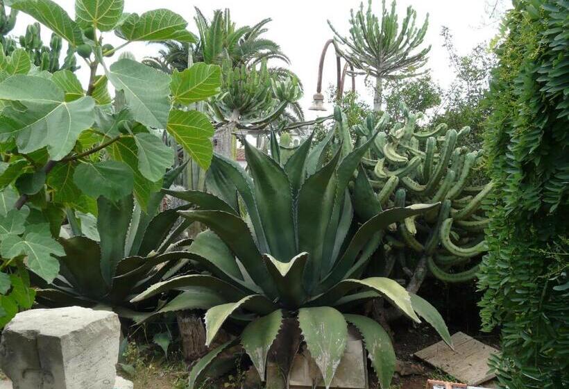 بنسيون Villa Yucca