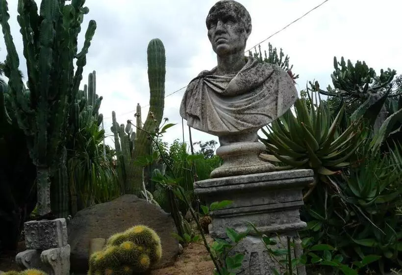 پانسیون Villa Yucca