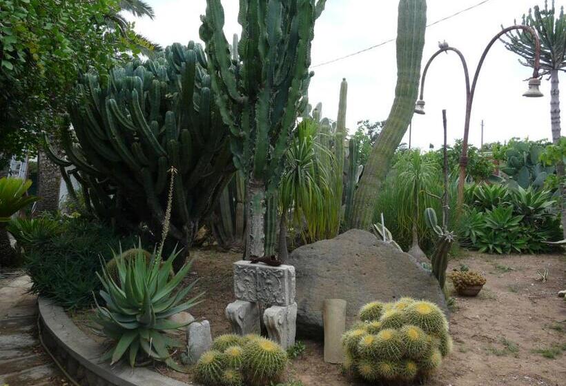 بنسيون Villa Yucca