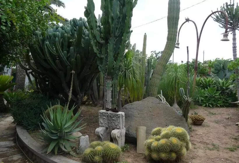پانسیون Villa Yucca