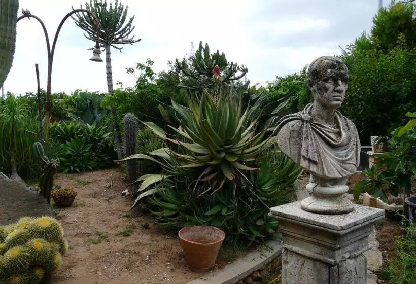 پانسیون Villa Yucca