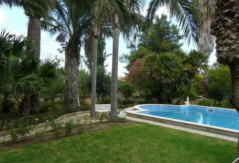 بنسيون Villa Yucca