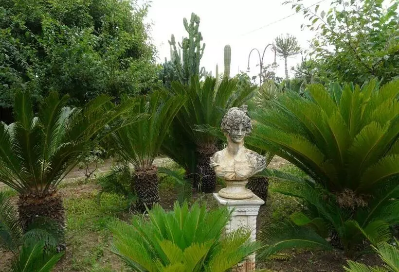 پانسیون Villa Yucca