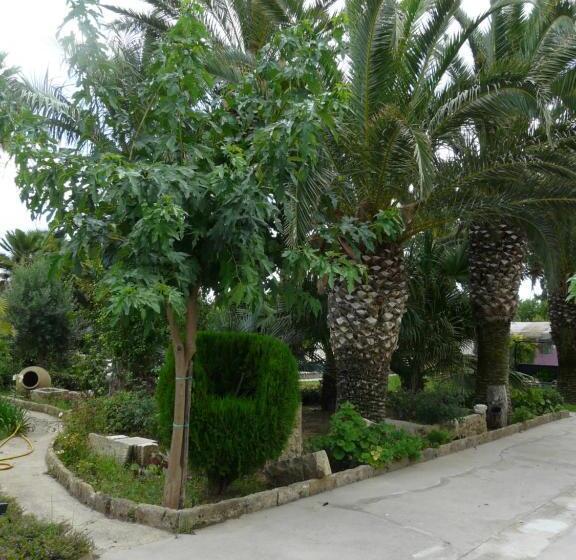 بنسيون Villa Yucca