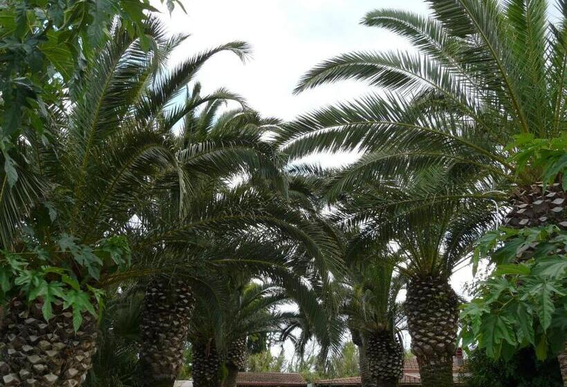 بنسيون Villa Yucca