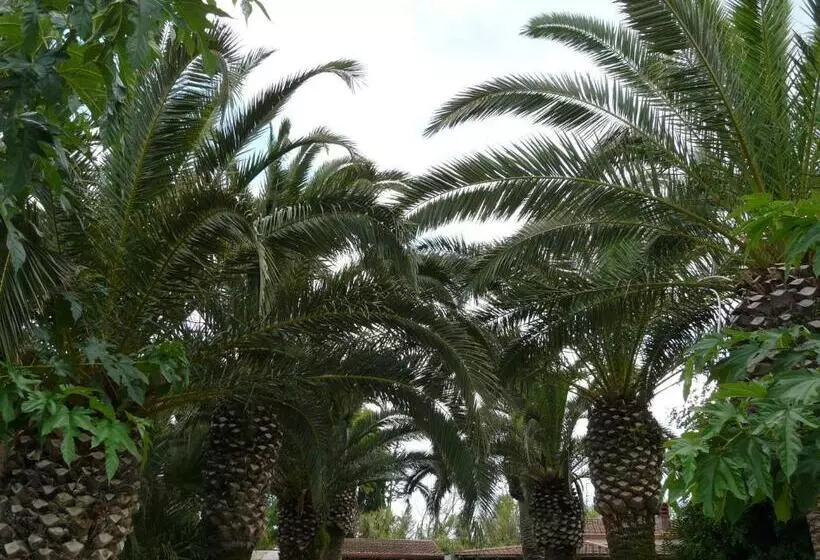 پانسیون Villa Yucca