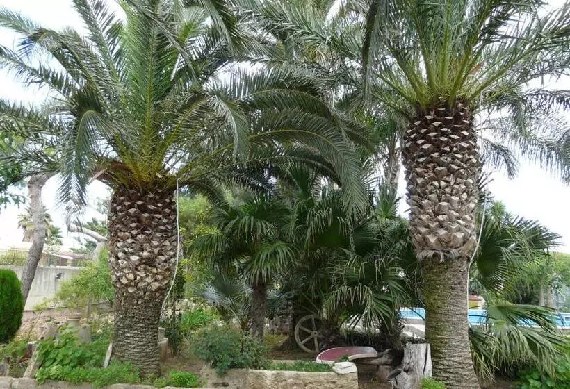 پانسیون Villa Yucca