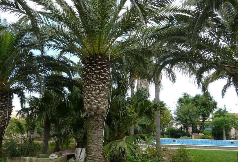 بنسيون Villa Yucca