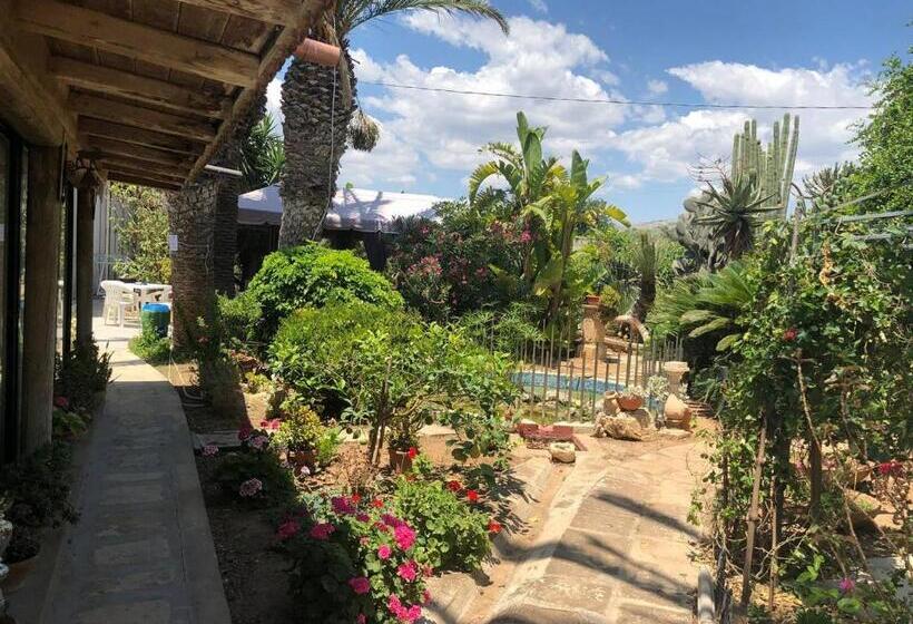 بنسيون Villa Yucca