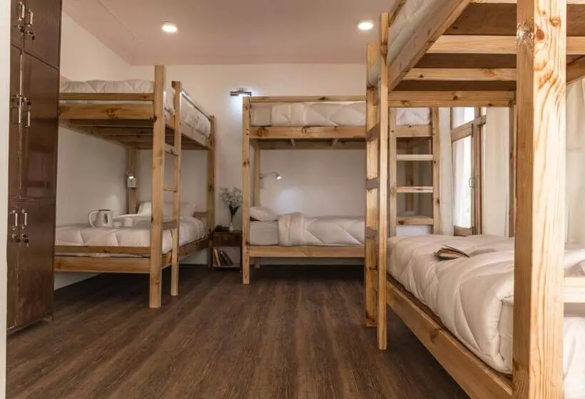 Ree Hostel