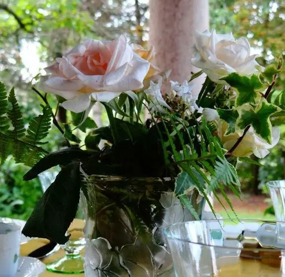 B&b Villafiorita