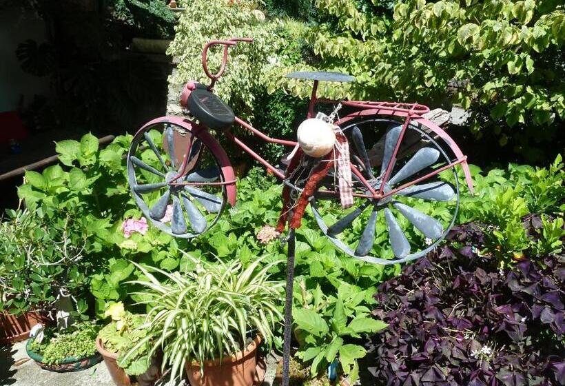 مبيت وإفطار Gaestehaus Staats