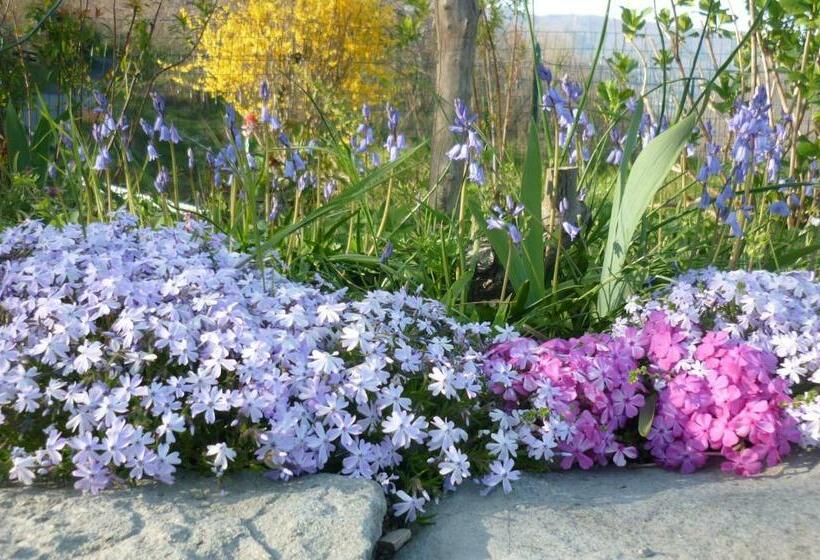 צימר Il Poggio Di Traverde