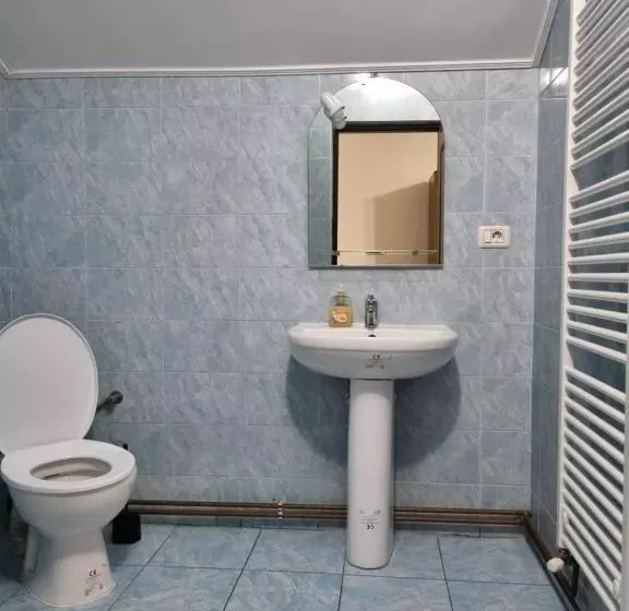 Casa Alin Poiana Mărului