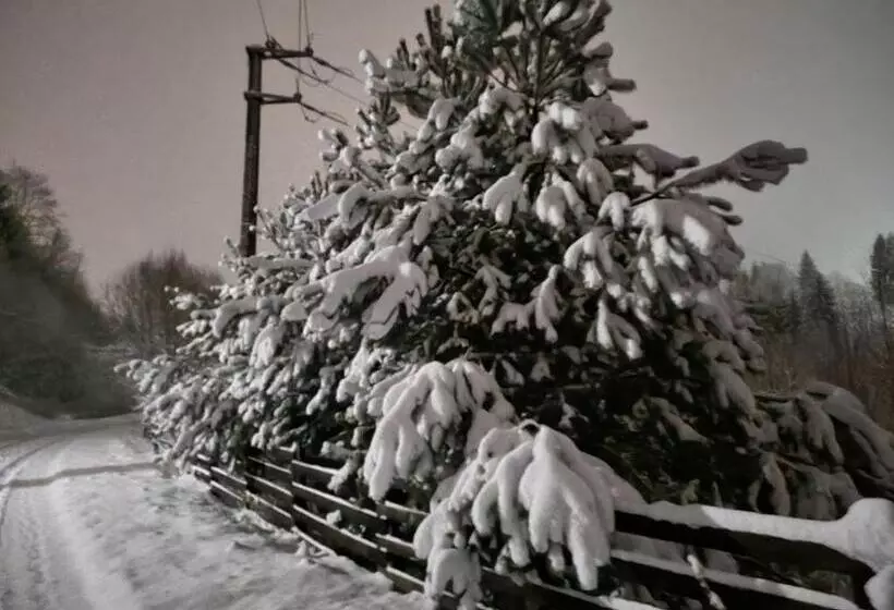 Casa Alin Poiana Mărului