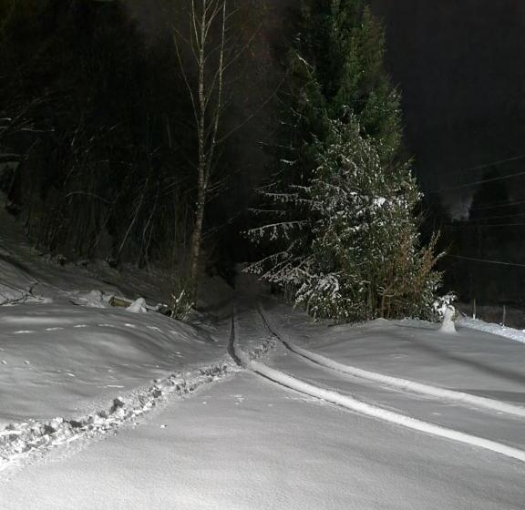 Casa Alin Poiana Mărului