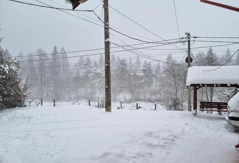 Casa Alin Poiana Mărului