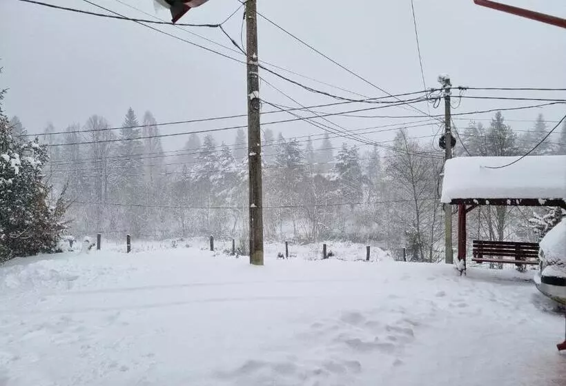 Casa Alin Poiana Mărului