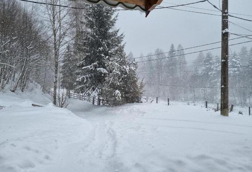 Casa Alin Poiana Mărului
