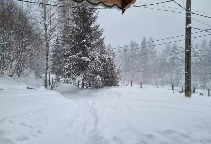 Casa Alin Poiana Mărului