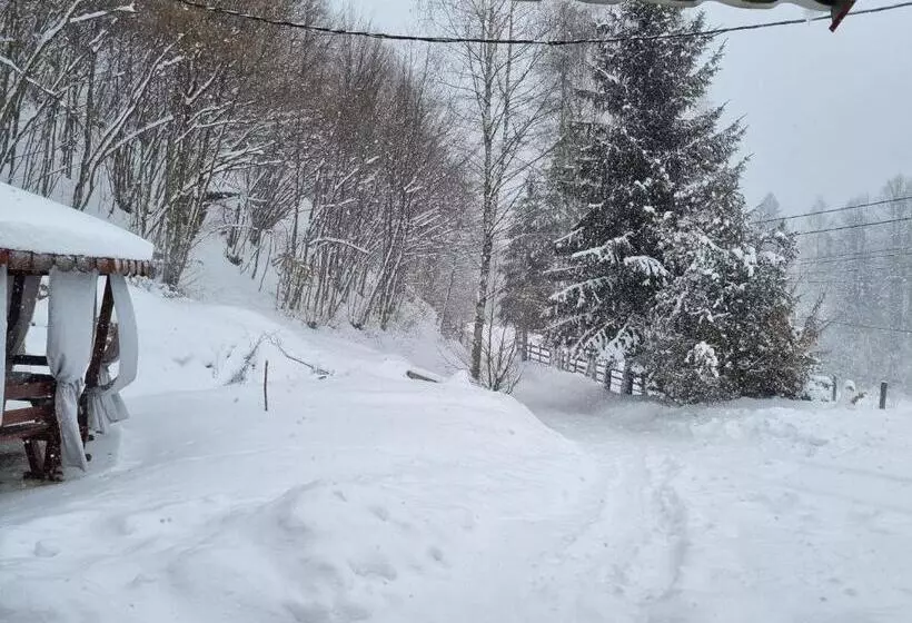 Casa Alin Poiana Mărului