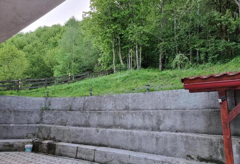 Casa Alin Poiana Mărului