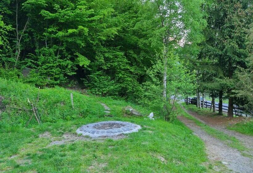 Casa Alin Poiana Mărului