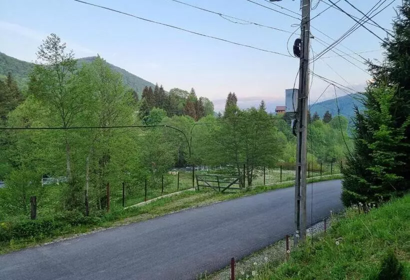 Casa Alin Poiana Mărului