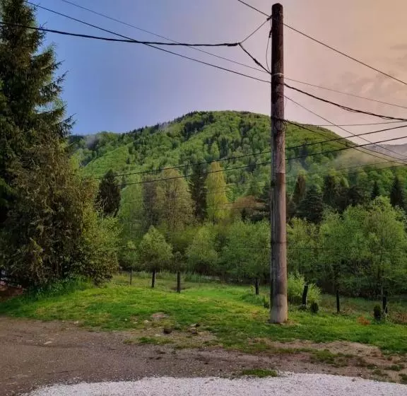 Casa Alin Poiana Mărului