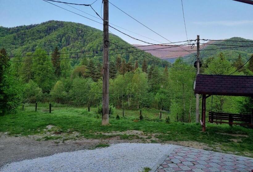 Casa Alin Poiana Mărului