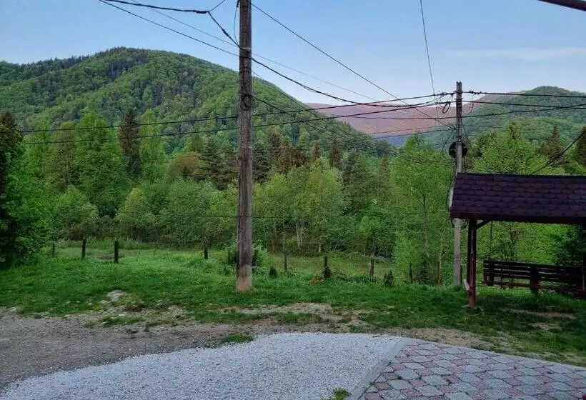 Casa Alin Poiana Mărului