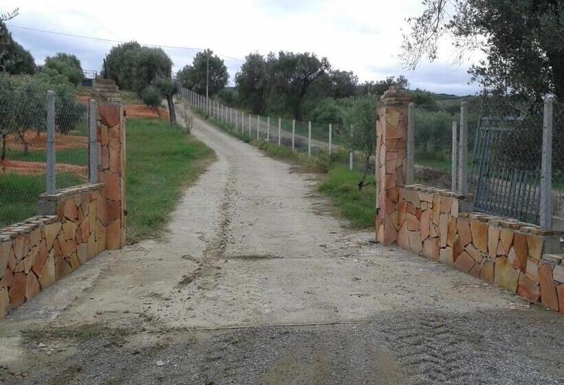 Отель Agriturismo Torre Rinusa