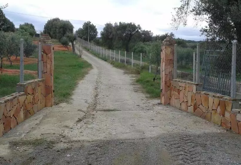 ホテル Agriturismo Torre Rinusa