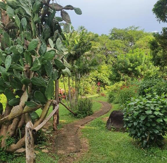 هتل El Encanto Garden