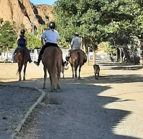 ペンション Vakantieboerderij La Balsa