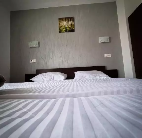 ペンション Vila Alex