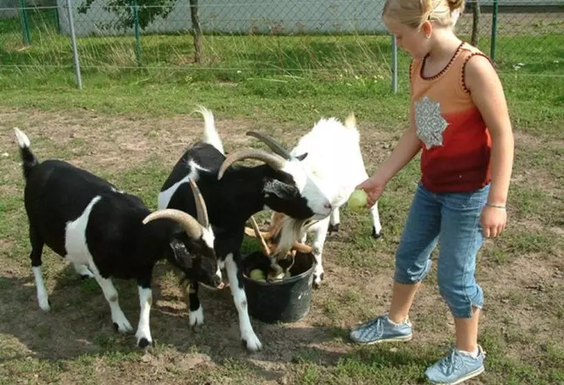 Appartementanlage Marianne