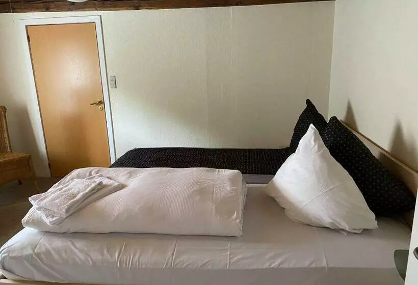 مبيت وإفطار Højer