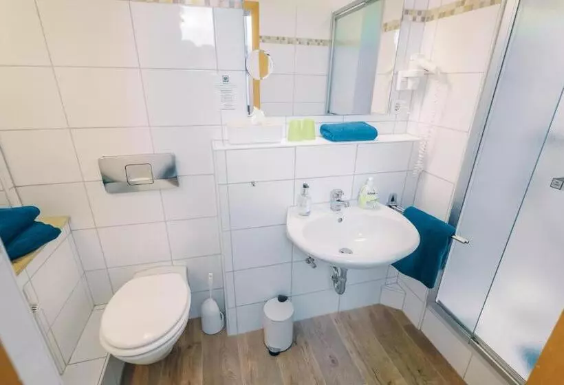 בית מלון כפרי Benger