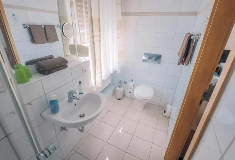 בית מלון כפרי Benger