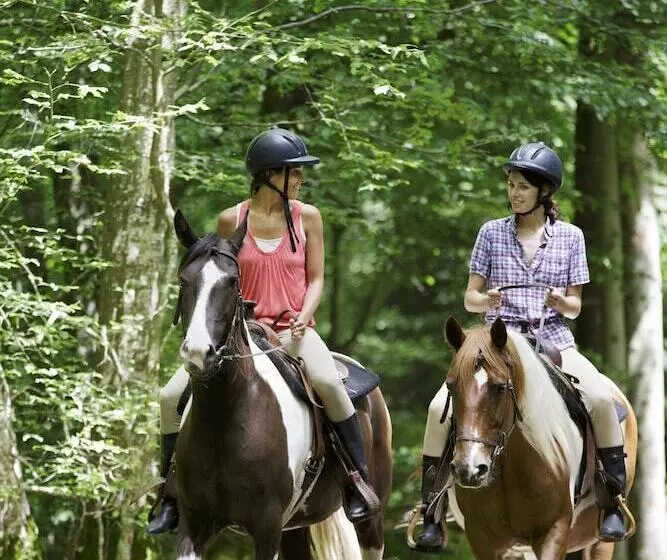 Отель Center Parcs Les Bois-francs