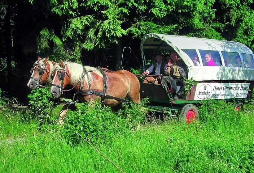 ホテル Ginsberger Heide