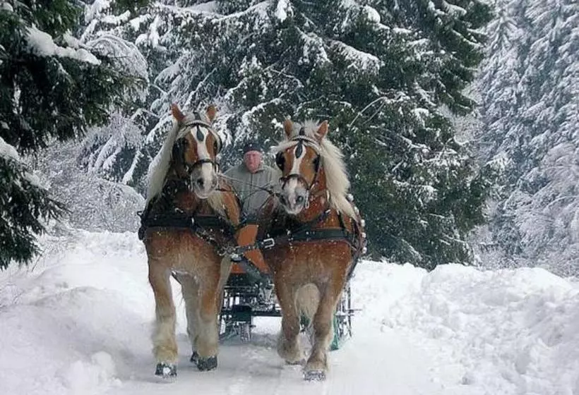 ホテル Ginsberger Heide