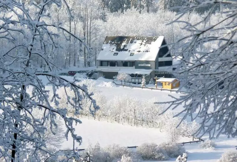 ホテル Ginsberger Heide