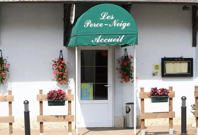 Отель Hôtel Les Perce Neige